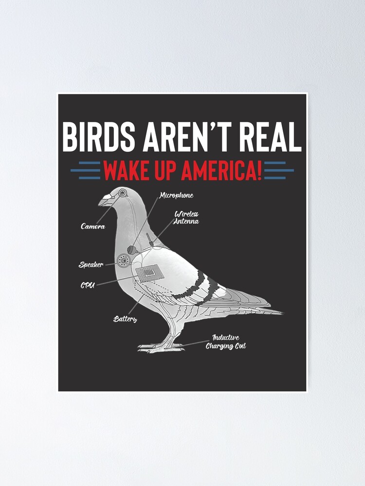 "Birds Aren’t Real Wake Up America" Poster for Sale by Elainpn | Redbubble