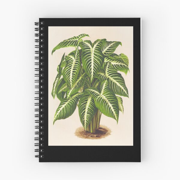 Item preview, Caladium lindenii - Botanical Illustration designed and sold by chimakingthings.