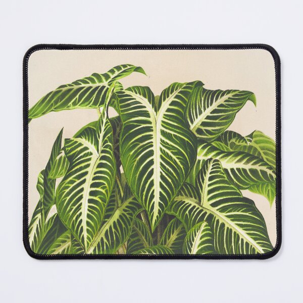 Item preview, Caladium lindenii - Botanical Illustration designed and sold by chimakingthings.
