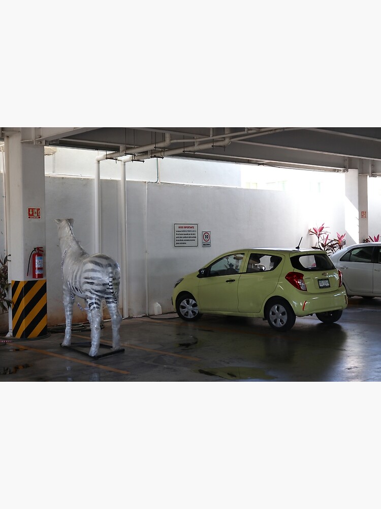 Zebra in the Parking Lot by raregamingdump