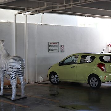 Artwork thumbnail, Zebra in the Parking Lot by raregamingdump