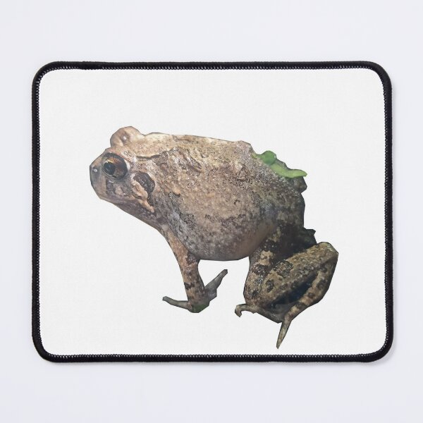 Item preview, Legend the frog designed and sold by cooolcontent.