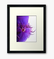Streamers Framed Print