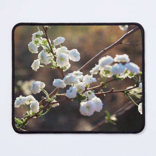 Item preview, Baby's Breath designed and sold by Lens2Canvas.