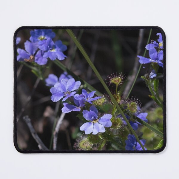 Item preview, Pretty purple wildflower designed and sold by Cynthia Dix.