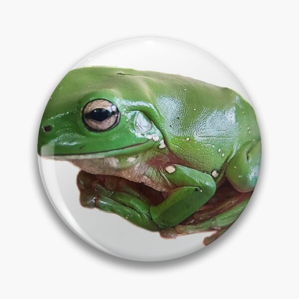 Item preview, Australian Green Tree Frog designed and sold by cooolcontent.