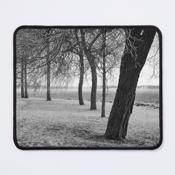 Item preview, The trees of frost bw designed and sold by Jouko Lehto Photography.