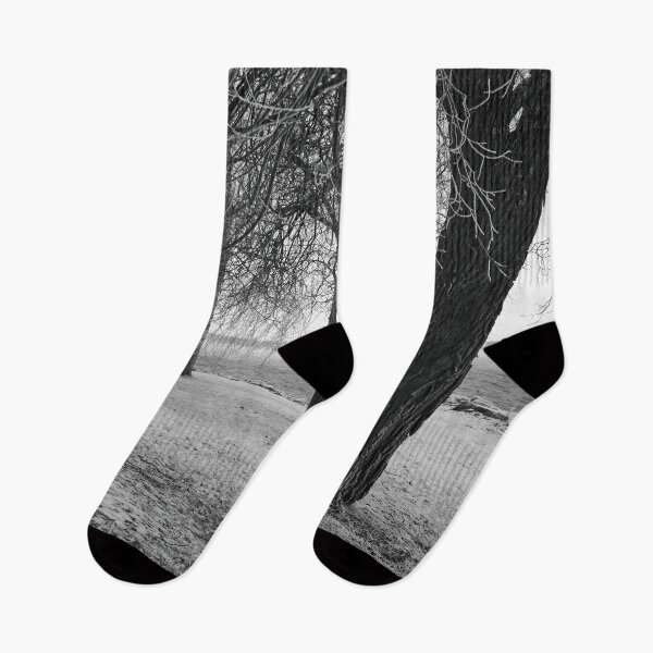 Aperçu de l'œuvre Les arbres de givre bw créée et vendue par Jouko Lehto Photography.