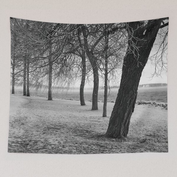 Aperçu de l'œuvre Les arbres de givre bw créée et vendue par Jouko Lehto Photography.
