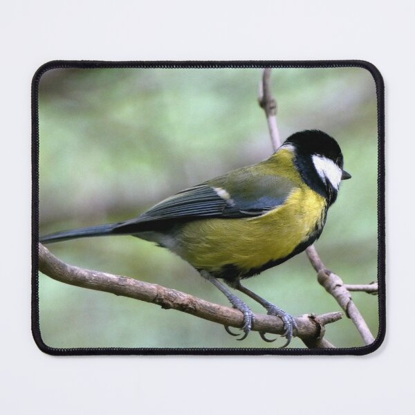 Item preview, great tit designed and sold by KathleenDawson.