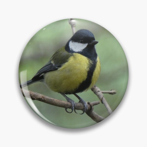 Item preview, great tit designed and sold by KathleenDawson.