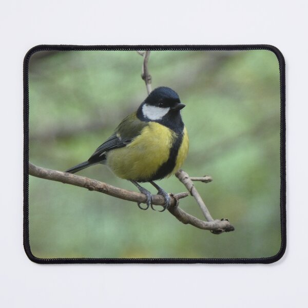 Item preview, great tit designed and sold by KathleenDawson.