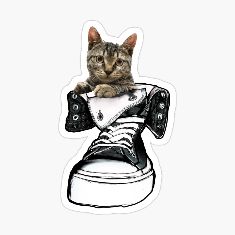 Sneakers converse shoes by cat t-shirt Sneakers converse shoes by cat t-shirt