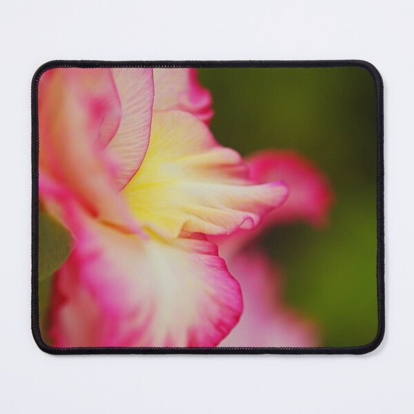 Item preview, Gladioli Flower Elegance In Profile designed and sold by Joy Watson - Natural Light Photography .