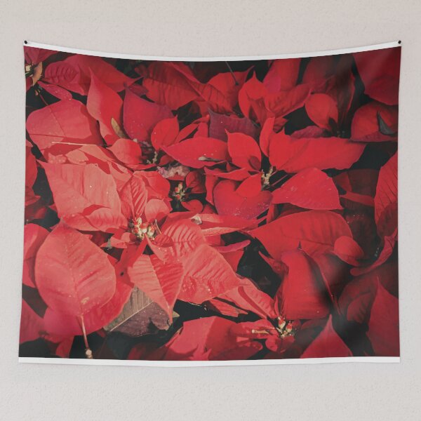 Item preview, Poinsettia Christmas Flowers designed and sold by MartinxMarie.
