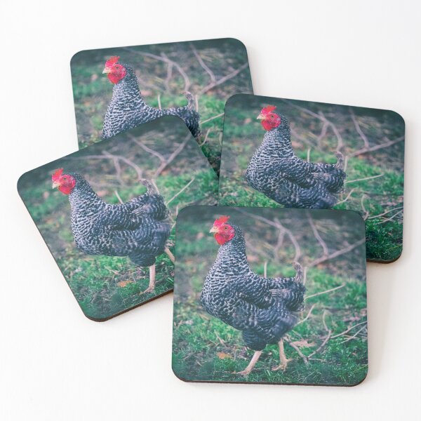 Item preview, Old German Sperber rooster race designed and sold by Ingo Menhard.