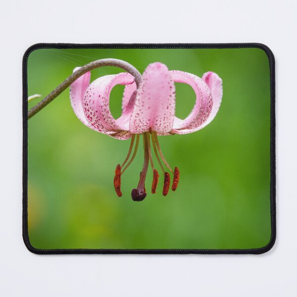 Item preview, a martagon lily designed and sold by Stefan Rotter.