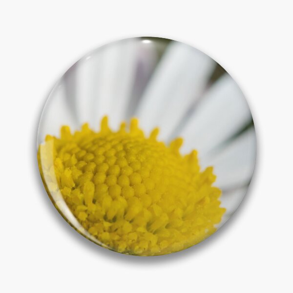 Item preview, Closeup of a daisy designed and sold by Stefan Rotter.