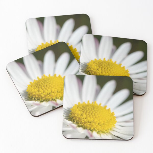 Item preview, Closeup of a daisy designed and sold by Stefan Rotter.