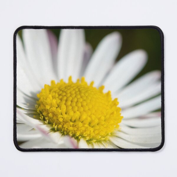 Item preview, Closeup of a daisy designed and sold by Stefan Rotter.