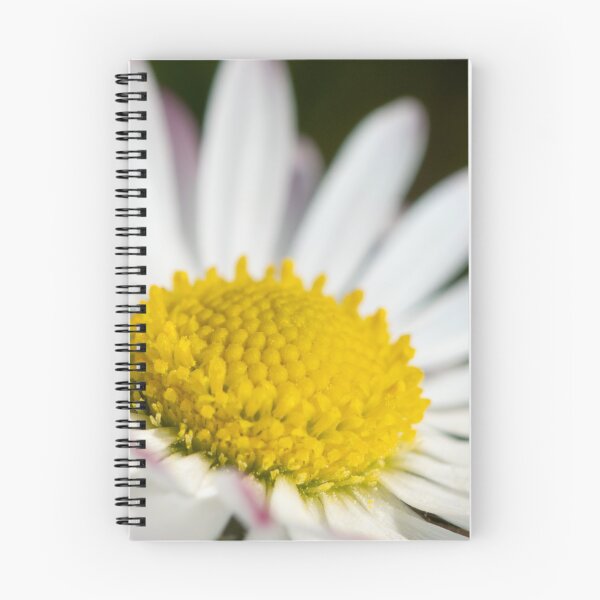 Item preview, Closeup of a daisy designed and sold by Stefan Rotter.