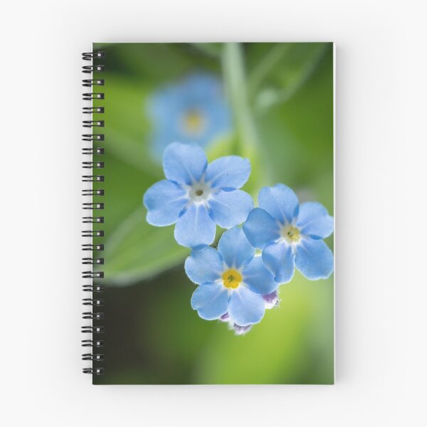 Item preview, blossoms of a forget me not designed and sold by Stefan Rotter.