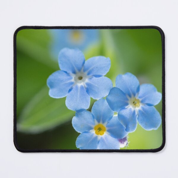 Item preview, blossoms of a forget me not designed and sold by Stefan Rotter.