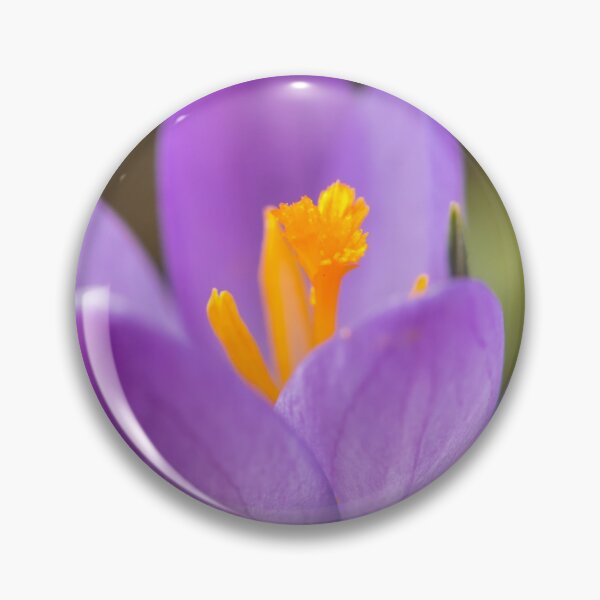 Item preview, a purple crocus blossom designed and sold by Stefan Rotter.