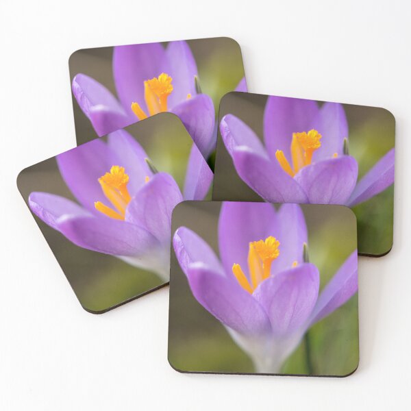 Item preview, a purple crocus blossom designed and sold by Stefan Rotter.