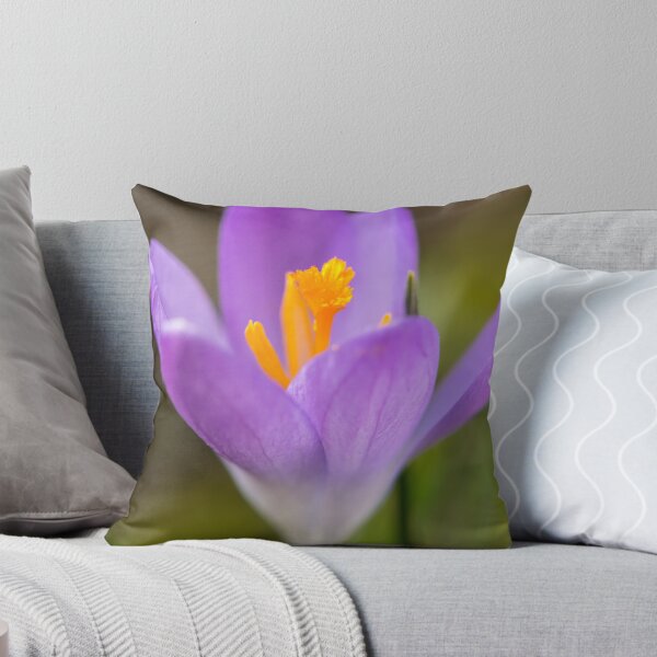 Item preview, a purple crocus blossom designed and sold by Stefan Rotter.