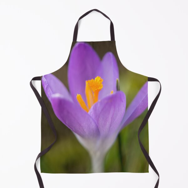 Item preview, a purple crocus blossom designed and sold by Stefan Rotter.