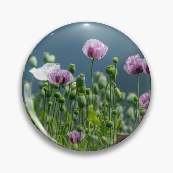 Item preview, a colorful flowering poppy field designed and sold by Stefan Rotter.