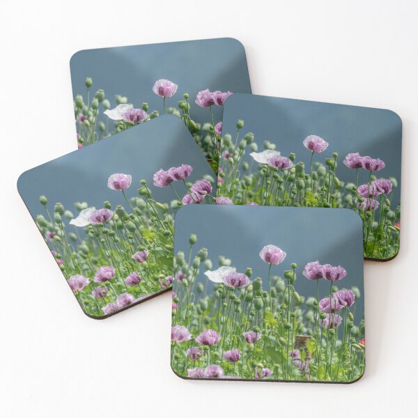 Item preview, a colorful flowering poppy field designed and sold by Stefan Rotter.