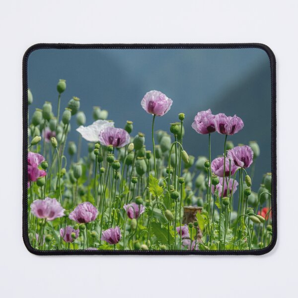 Item preview, a colorful flowering poppy field designed and sold by Stefan Rotter.