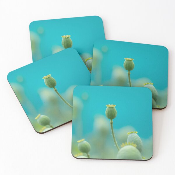 Item preview, a poppy seed head designed and sold by Stefan Rotter.