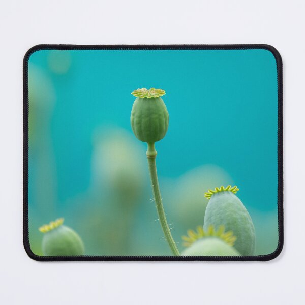 Item preview, a poppy seed head designed and sold by Stefan Rotter.