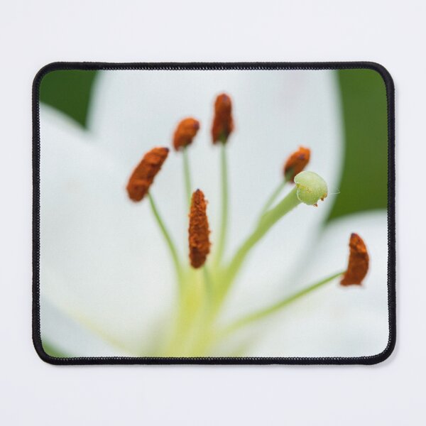 Item preview, a big white tiger lily designed and sold by Stefan Rotter.