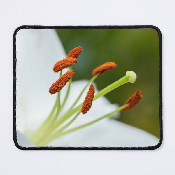 Item preview, a blossom of a big white tiger designed and sold by Stefan Rotter.