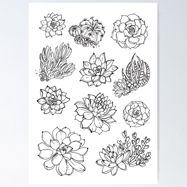 Aperçu de l'œuvre Cactus et succulentes créée et vendue par IrinaVaneeva.