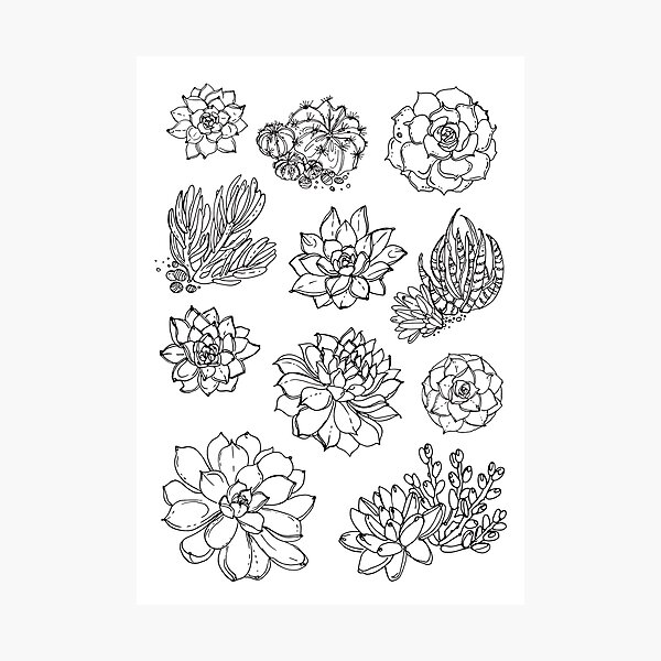 Item preview, Cacti and succulents designed and sold by IrinaVaneeva.