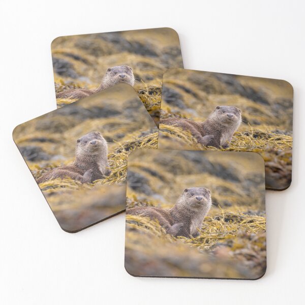 Item preview, Lochside Life designed and sold by iaintall.