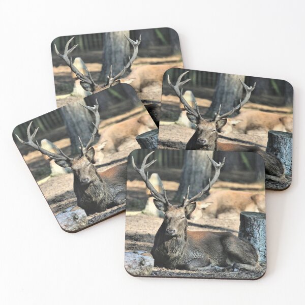 Item preview, Stag Stare designed and sold by Fearless-Fox.