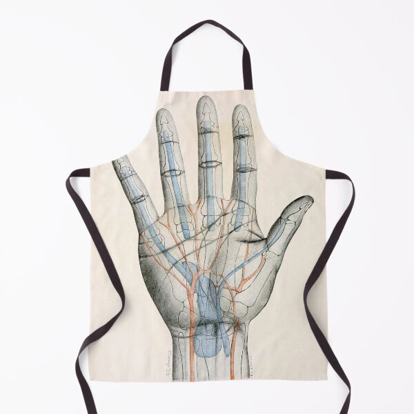 Aperçu de l'œuvre Anatomie humaine - Main 1 créée et vendue par nextstepdesigns.