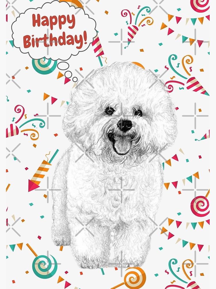 Happy hot sale birthday bichon