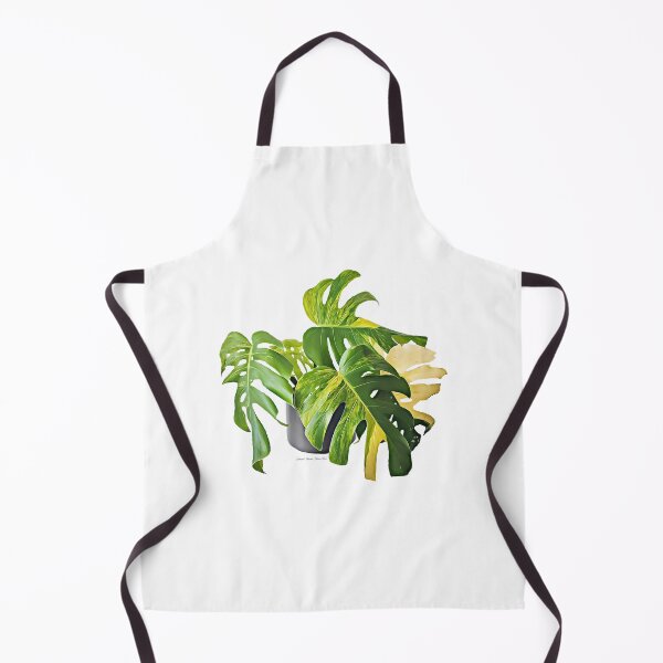 Item preview, Variegated Monstera Deliciosa "Aurea" designed and sold by The Chookies.