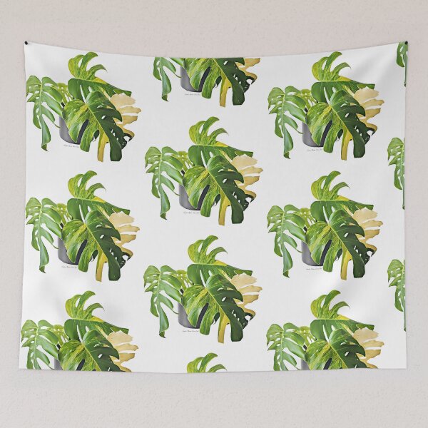 Item preview, Variegated Monstera Deliciosa "Aurea" designed and sold by The Chookies.
