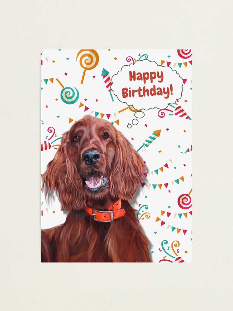 happy birthday Irish Setter Photographic Print