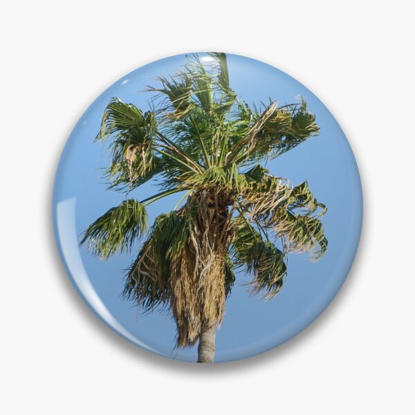 Artikelvorschau, Palm Tree Alone entworfen und verkauft von Raft.