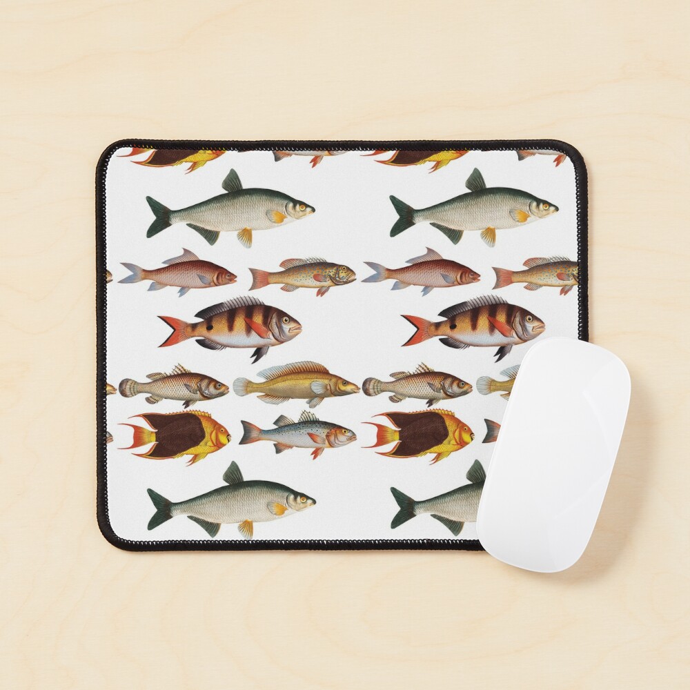 Types Of Freshwater Fish Species Fishing Sticker for Sale by