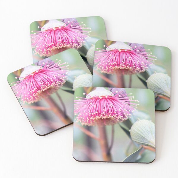 Item preview, Gumnut Flower - Pear Fruited Mallee designed and sold by imaginethis.